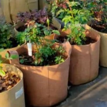 rajba's profile picture. Life if short, make the most fun out of it..  Indian, Hindu, #DravidianNoStock