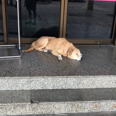 highandlow6523's profile picture. 