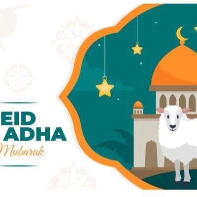 korbanphp188889's profile picture. 