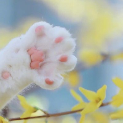 AkrmStar1616's profile picture. Focus on your dreams and be your own hero.