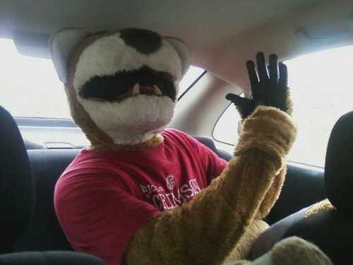 LuckYCharmz9's profile picture. 