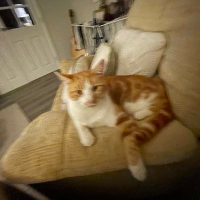 swsjordan's profile picture. founder of https://t.co/3rcPDUqNF2