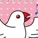 とりずむ/【公式】鳥・とり・トリ主催イベント情報