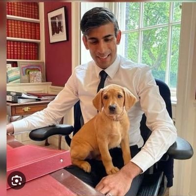 Sudhaka62735693's profile picture. nothing