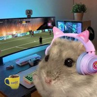 BIGDUPEN (@bigdupen) 's Twitter Profile