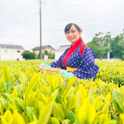 #おうちで狭山茶アンバサダー お茶（主に狭山茶）の投稿をします🍵 他の趣味もちょこちょこと✨ フォロバは基本お茶関係のみ🍵メッセージの返信はお仕事のみです📩 既婚💍 メインはInstagramです🍵 お城用垢はこちら🏯→@marin_k_marin