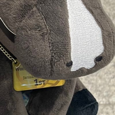 パウエルさんのプロフィール画像