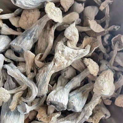 therookiemyco's profile picture. we do deliver top quality products place your orders