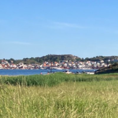 westcoastequity's profile picture. 