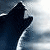 independent webstuff contractor, writer, mensan, liberal, diabetic
