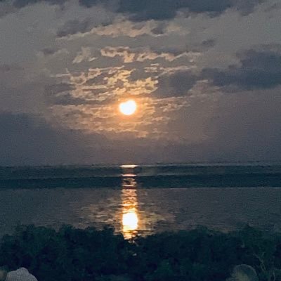 UNastyOlBloggrr's profile picture. Proud Northern Territorian. Hater of self serving over opinionated people who’ve never left their safe suburb to see the world. Probably a tad chunky but…beer?