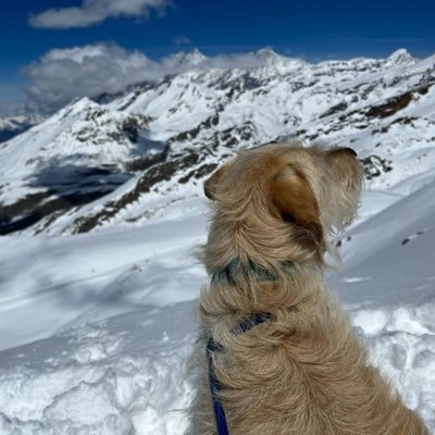 mcgeelorr's profile picture. Travel makes me happy 😊 Dog loving human ❤️ keep being the difference 🤗 All views my own