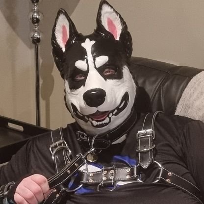 44/pup/pan/switch This is my pup, rubber and general kink AD account. 18+ only. I'm a friendly pup open to sfw and nsfw play.