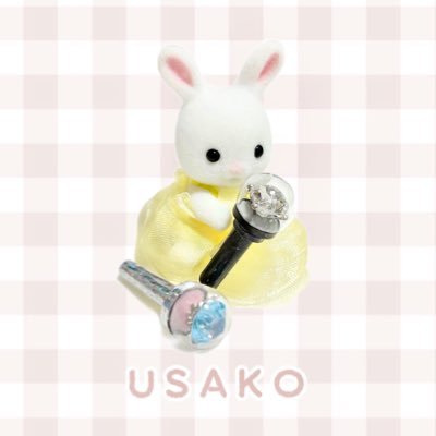 USAKOさんのプロフィール画像