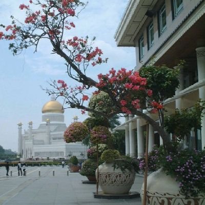 panjalu_su83507's profile picture. 