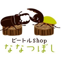 ビートルshopななつぼし(@b_shop_7star) 's Twitter Profile Photo