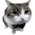 Alex (@alex63513850) Twitter profile photo Alex (@alex63513850) Twitter profile photo