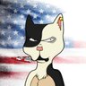 Curtis84346664's profile picture. 