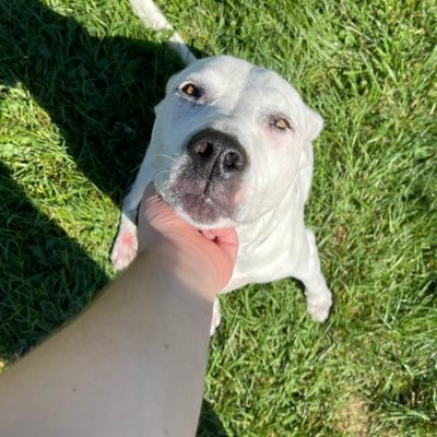 doug2tuRnt's profile picture. RUNITUP