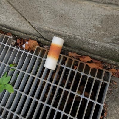 TIKUWAPAIPU's profile picture. ちくわパイプですアイコンは壁から生えてだパイプです 好きな物はBOØWY アニメ 車 ブルアカ ウマ娘 ガンダム スバルGT300です                                サブ垢@TIKUWAPAIPU2