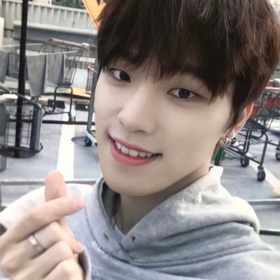 caleycollecting's profile picture. cc acc || main : @caleyiniz