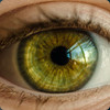 Greeneyes234567 Profile Picture