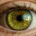 Greeneyes23456 🔞 (@greeneyes234567) Twitter profile photo Greeneyes23456 🔞 (@greeneyes234567) Twitter profile photo