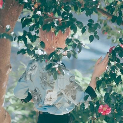 飛鳥さんのプロフィール画像