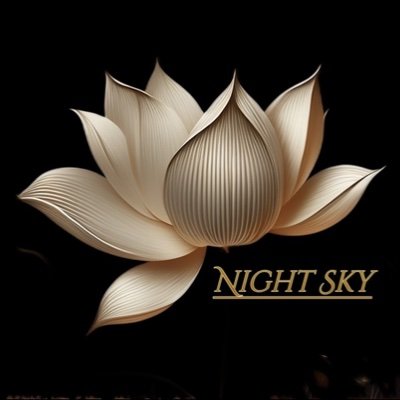 NightSky2023_Z Profile Picture
