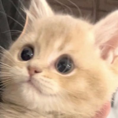 __beingrandom__'s profile picture. Mất acc nên qua đây xàm xí một mình