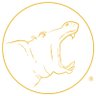 _golden_hippo's profile picture. A place where some of the best in the world work together to impact the lives of millions of people.