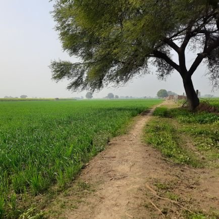 brand_mmt's profile picture. जय हिंद ।। रिट्वीट मतलब सहमति नहीं ।।