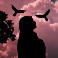 Şifa🍀 (@sifa0069) 's Twitter Profile
