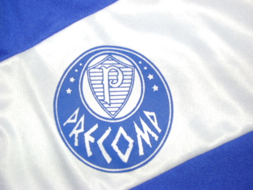 PrecompFC's profile picture. 