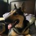 Thor’s Mom (@thorsmom13) Twitter profile photo Thor’s Mom (@thorsmom13) Twitter profile photo