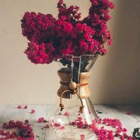 رُقَيَّـة..🕊️ (@drrukiye9) 's Twitter Profile