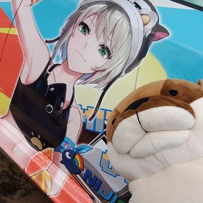 こめっとさんのプロフィール画像