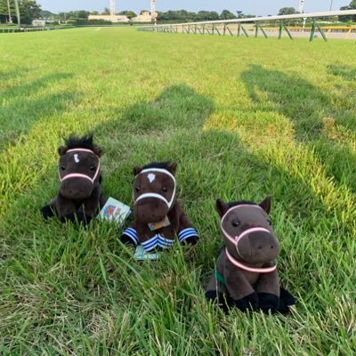 ganopippi's profile picture. 