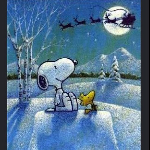 WS0215's profile picture. instagram - hipped_anne      ヨロシク _반가워요  おしゃべり！！！！！ 즐거운 이야기make a friend