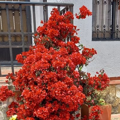 jaeleditasesa's profile picture. Abogada Universidad Autónoma Latinoamericana