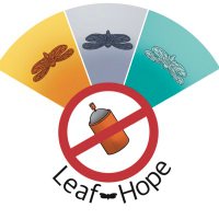 LeafHope (@leafhopecan) 's Twitter Profile Photo LeafHope (@leafhopecan) 's Twitter Profile Photo