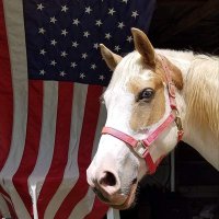 KatWrap (@katwrappah) 's Twitter Profile Photo