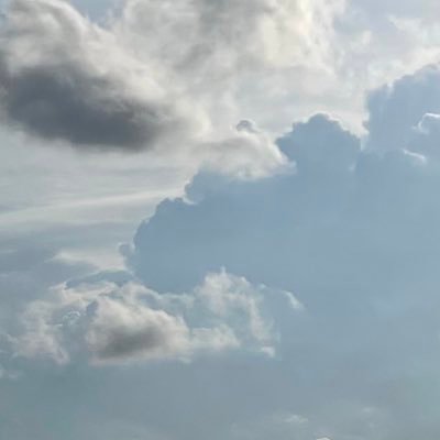 ratatrouill's profile picture. 