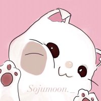 ไอเลิ้บโซจู💕(@sojumoon_) 's Twitter Profile Photo