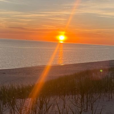 sscrogginss's profile picture. 