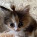 Squishy Tater (@squishytatersl) Twitter profile photo Squishy Tater (@squishytatersl) Twitter profile photo