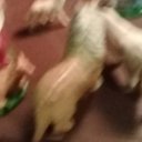 eric thom - @thom_eric69067 - Twitter