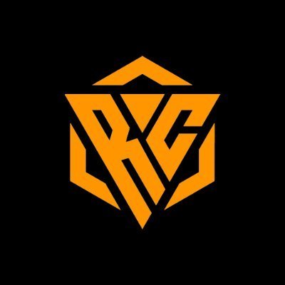 CEO - @RazaHR6
Time da maior máquina do cenário internacional de @rainbow6game

Perfil de Fã