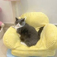 Louise (@sdsewfsdf) 's Twitter Profile