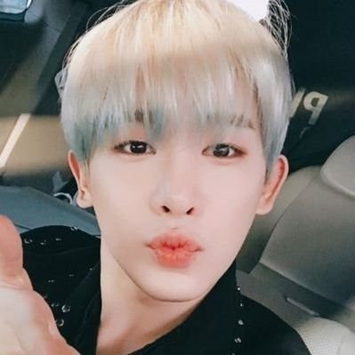 timetowonho Profile Picture